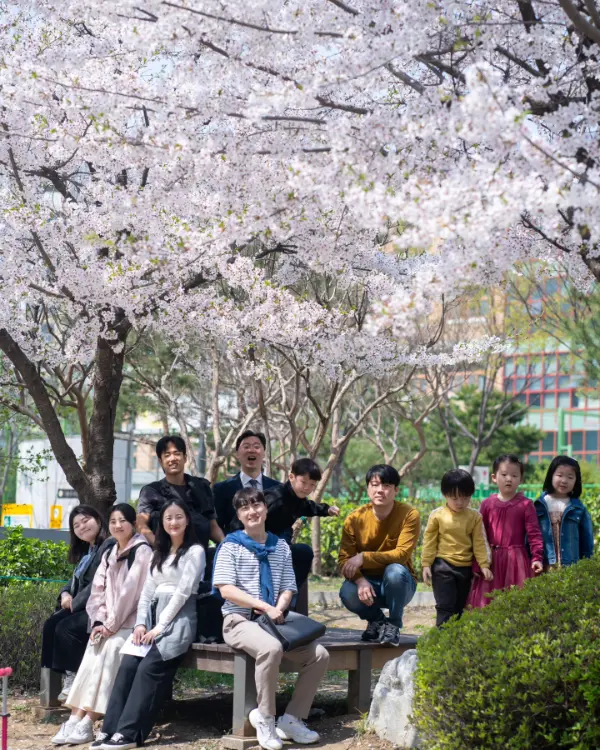 벚꽃 놀이 동네 한 바퀴